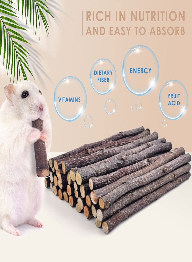 Bissap 230g/8.1oz Apple Sticks for Rabbits, Natural Bunny Chew Toys and Treats for Chinchilla Guinea Pig Hamster Gerbil Small Animals Pet Apple Wood Stick Toys Teeth Grinding - Image 2